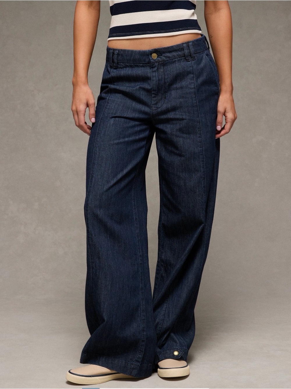 American Eagle Baggy Wide Leg Trouser